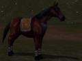 Cavallo principiante nero.png